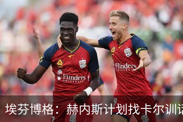 埃芬博格：赫内斯计划找卡尔训话是他的行事风格，后者得接受这点