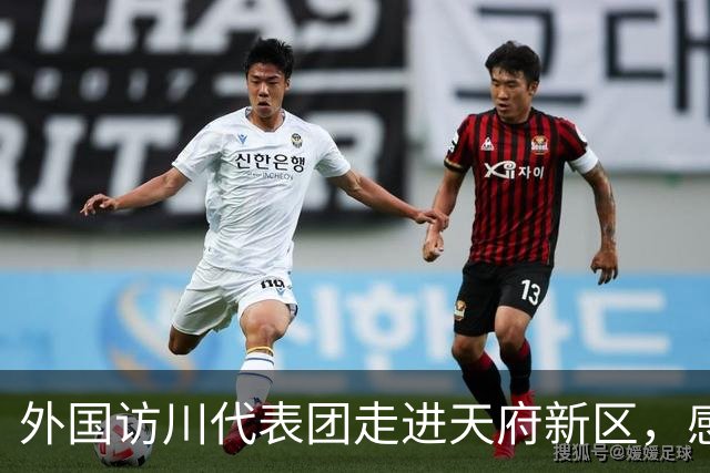 外国访川代表团走进天府新区，感受人工智能与机器人科创活力
