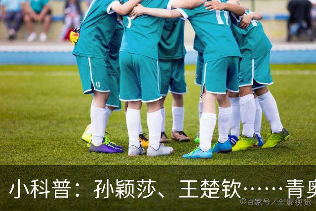小科普：孙颖莎、王楚钦……青奥会上走出多少体坛名将？
