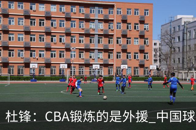 杜锋：CBA锻炼的是外援 中国球员支配球的次数太少