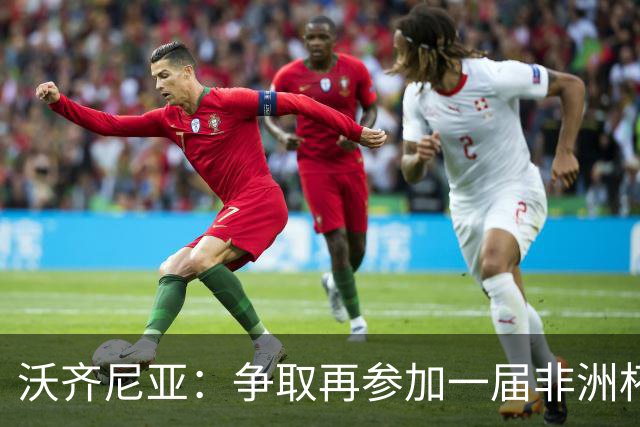 沃齐尼亚：争取再参加一届非洲杯；退役后想在祖国开间门将学院