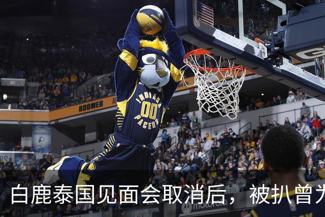 白鹿泰国见面会取消后，被扒曾为缅北拍宣传片，知情人爆更多内幕