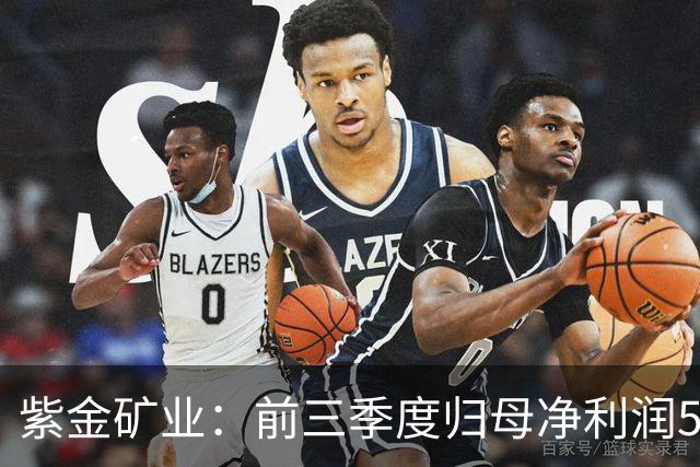 紫金矿业：前三季度归母净利润575.26亿元 同比增长51.93%