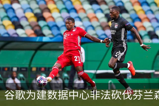 谷歌为建数据中心非法砍伐芬兰森林25万棵树，狼群被迫进村觅食
