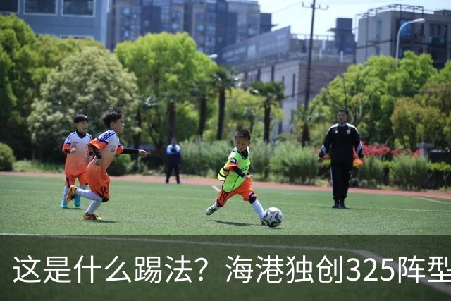 这是什么踢法？海港独创325阵型：拉爆蓉城体能，英博渔翁得利